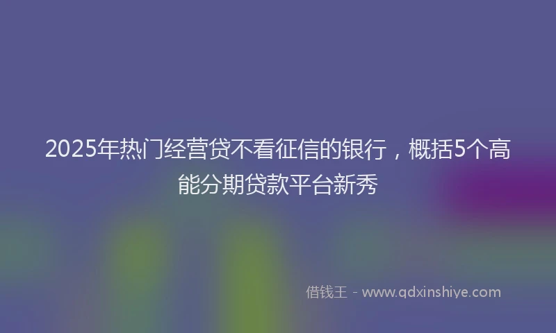2025年热门经营贷不看征信的银行，概括5个高能分期贷款平台新秀