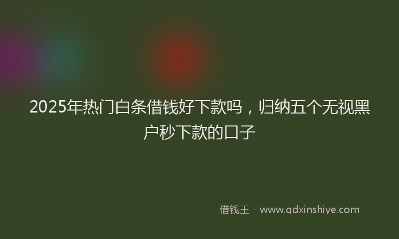 2025年热门白条借钱好下款吗，归纳五个无视黑户秒下款的口子