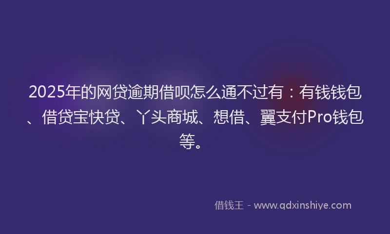 2025年的网贷逾期借呗怎么通不过有：有钱钱包、借贷宝快贷、丫头商城、想借、翼支付Pro钱包等。