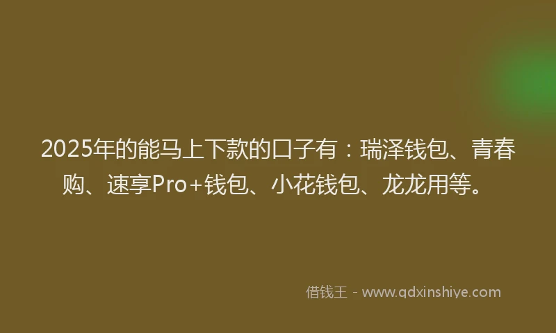 2025年的能马上下款的口子有：瑞泽钱包、青春购、速享Pro+钱包、小花钱包、龙龙用等。