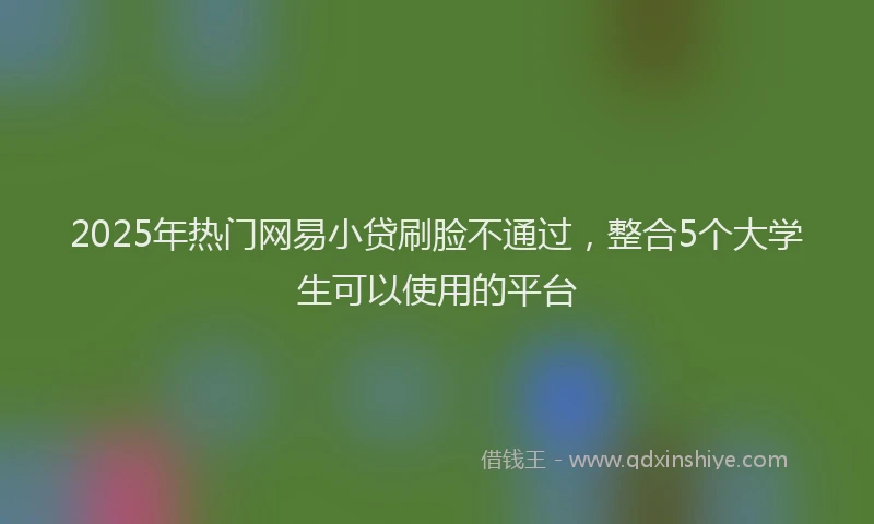 2025年热门网易小贷刷脸不通过，整合5个大学生可以使用的平台