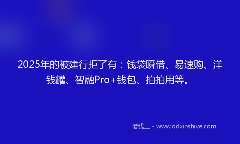2025年的被建行拒了有：钱袋瞬借、易速购、洋钱罐、智融Pro+钱包、拍拍用等。