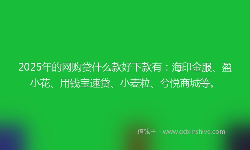 2025年的网购贷什么款好下款有：海印金服、盈小花、用钱宝速贷、小麦粒、兮悦商城等。