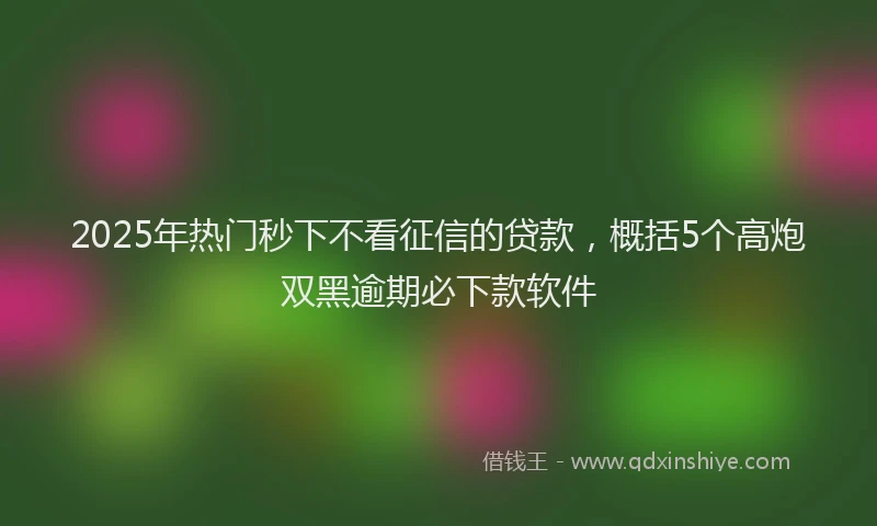 2025年热门秒下不看征信的贷款，概括5个高炮双黑逾期必下款软件