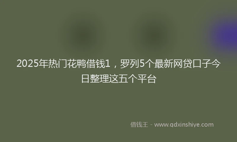 2025年热门花鸭借钱1，罗列5个最新网贷口子今日整理这五个平台