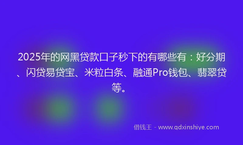 2025年的网黑贷款口子秒下的有哪些有：好分期、闪贷易贷宝、米粒白条、融通Pro钱包、翡翠贷等。