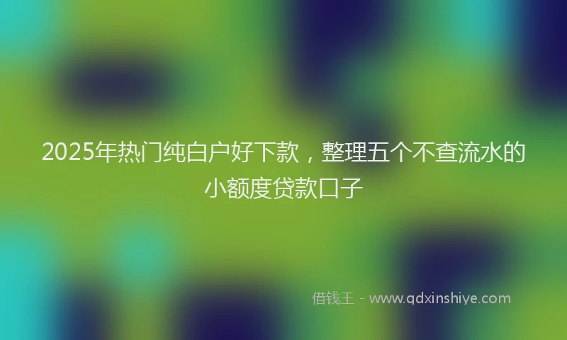 2025年热门纯白户好下款，整理五个不查流水的小额度贷款口子