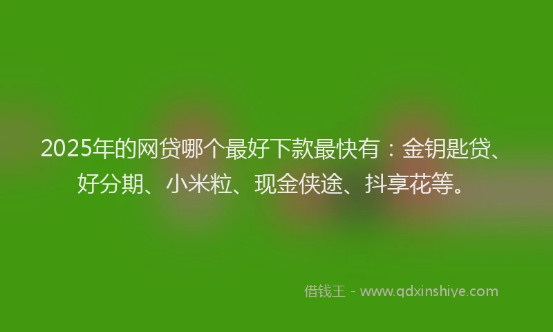 2025年的网贷哪个最好下款最快有：金钥匙贷、好分期、小米粒、现金侠途、抖享花等。