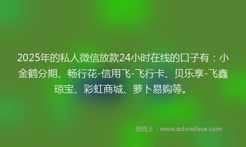 2025年的私人微信放款24小时在线的口子有：小金鹤分期、畅行花-信用飞-飞行卡、贝乐享-飞鑫琼宝、彩虹商城、萝卜易购等。