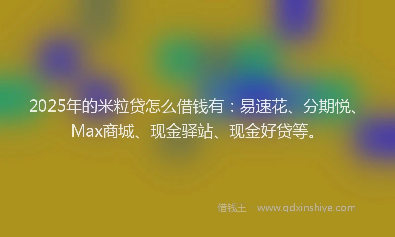 2025年的米粒贷怎么借钱有：易速花、分期悦、Max商城、现金驿站、现金好贷等。