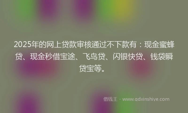 2025年的网上贷款审核通过不下款有：现金蜜蜂贷、现金秒借宝途、飞鸟贷、闪银快贷、钱袋瞬贷宝等。