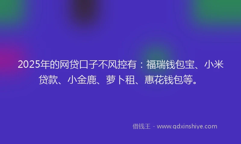 2025年的网贷口子不风控有：福瑞钱包宝、小米贷款、小金鹿、萝卜租、惠花钱包等。