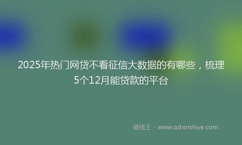 2025年热门网贷不看征信大数据的有哪些，梳理5个12月能贷款的平台