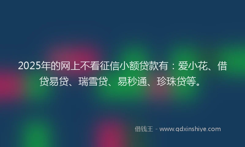2025年的网上不看征信小额贷款有：爱小花、借贷易贷、瑞雪贷、易秒通、珍珠贷等。