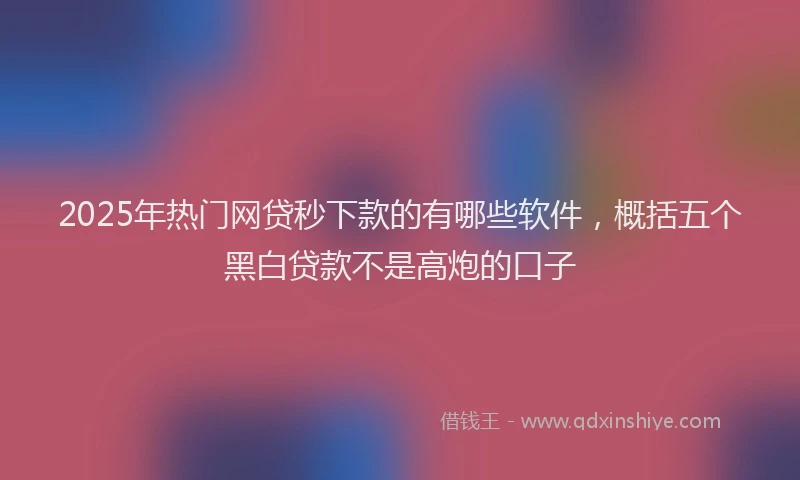 2025年热门网贷秒下款的有哪些软件，概括五个黑白贷款不是高炮的口子