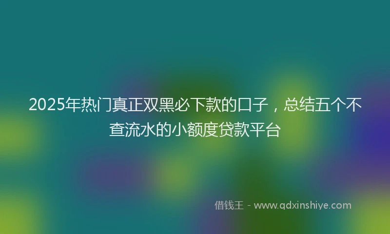 2025年热门真正双黑必下款的口子，总结五个不查流水的小额度贷款平台
