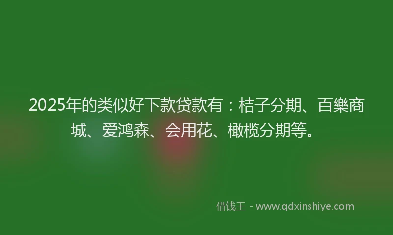 2025年的类似好下款贷款有：桔子分期、百樂商城、爱鸿森、会用花、橄榄分期等。