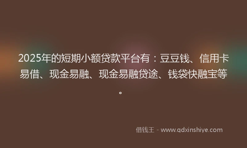 2025年的短期小额贷款平台有：豆豆钱、信用卡易借、现金易融、现金易融贷途、钱袋快融宝等。