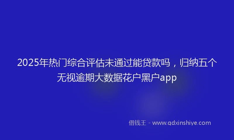 2025年热门综合评估未通过能贷款吗，归纳五个无视逾期大数据花户黑户app