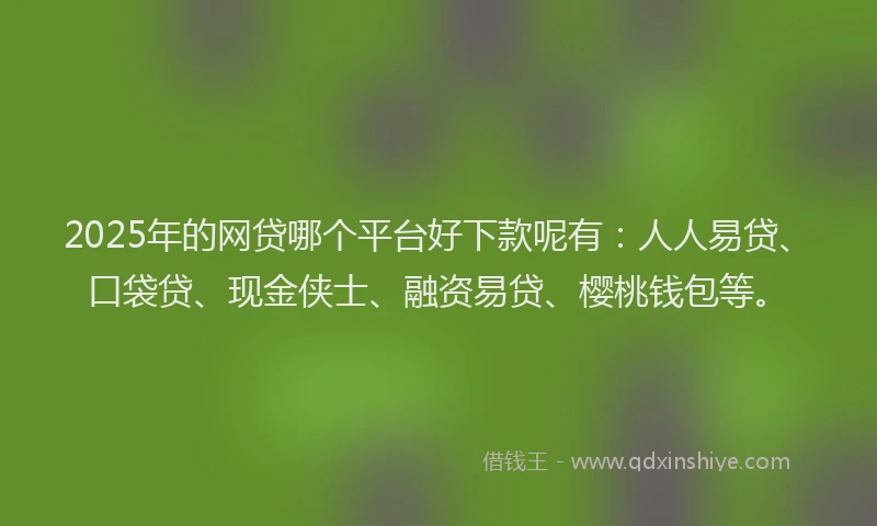 2025年的网贷哪个平台好下款呢有：人人易贷、口袋贷、现金侠士、融资易贷、樱桃钱包等。