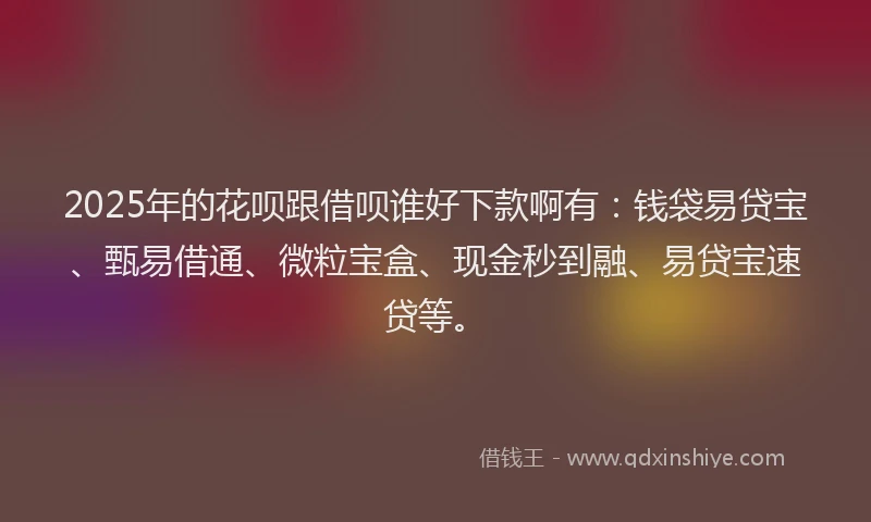 2025年的花呗跟借呗谁好下款啊有：钱袋易贷宝、甄易借通、微粒宝盒、现金秒到融、易贷宝速贷等。