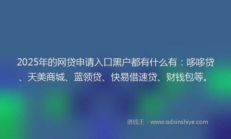 2025年的网贷申请入口黑户都有什么有：哆哆贷、天美商城、蓝领贷、快易借速贷、财钱包等。