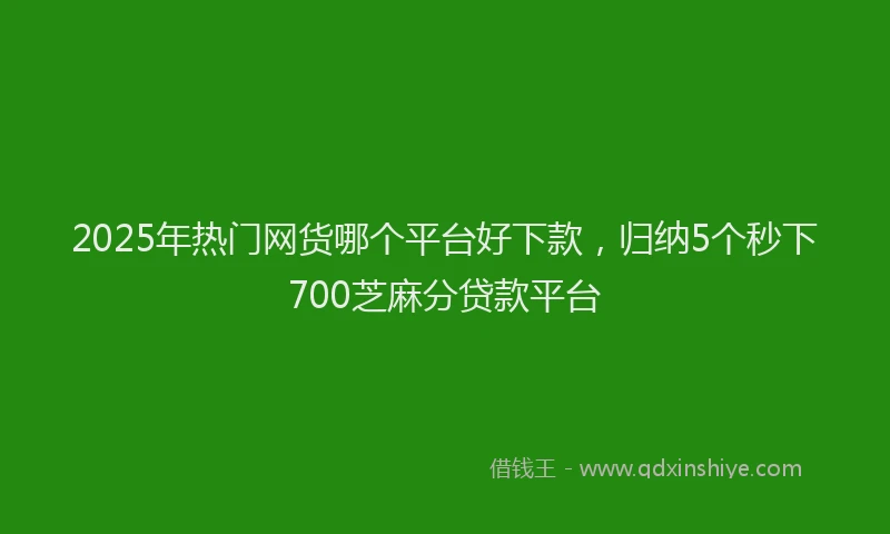 2025年热门网货哪个平台好下款，归纳5个秒下700芝麻分贷款平台