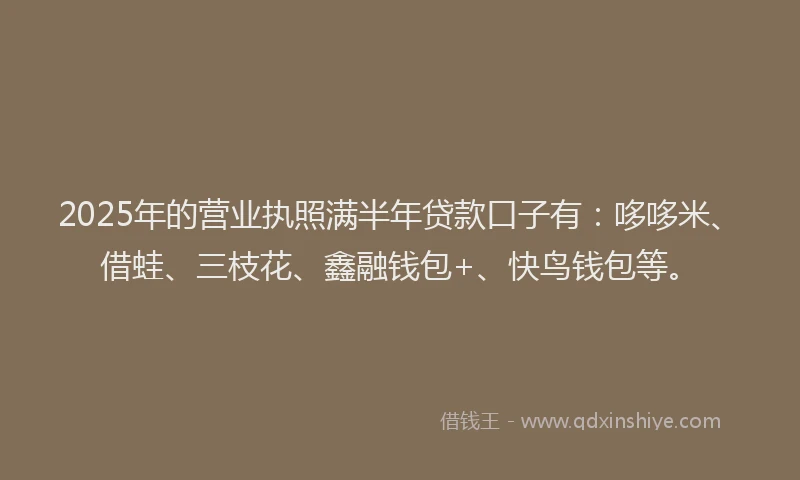2025年的营业执照满半年贷款口子有：哆哆米、借蛙、三枝花、鑫融钱包+、快鸟钱包等。