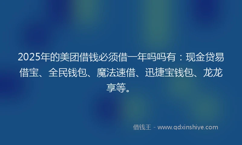 2025年的美团借钱必须借一年吗吗有：现金贷易借宝、全民钱包、魔法速借、迅捷宝钱包、龙龙享等。