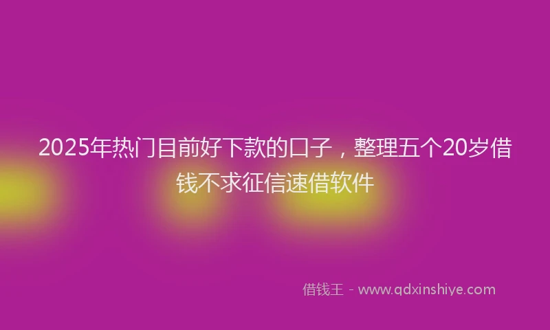 2025年热门目前好下款的口子，整理五个20岁借钱不求征信速借软件