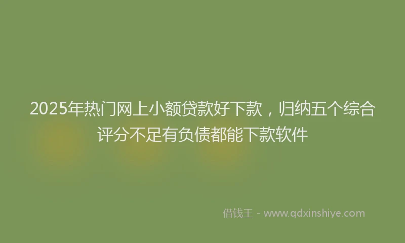 2025年热门网上小额贷款好下款，归纳五个综合评分不足有负债都能下款软件
