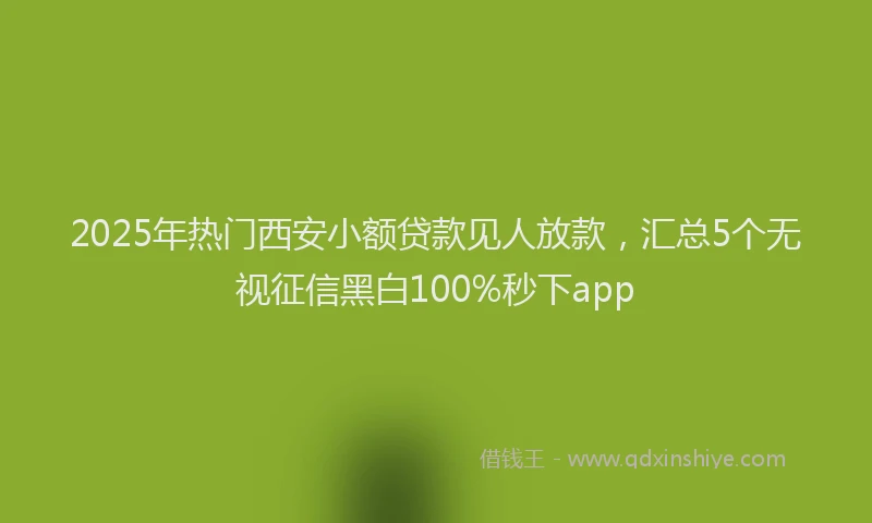 2025年热门西安小额贷款见人放款，汇总5个无视征信黑白100%秒下app