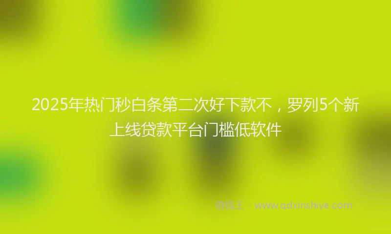 2025年热门秒白条第二次好下款不，罗列5个新上线贷款平台门槛低软件
