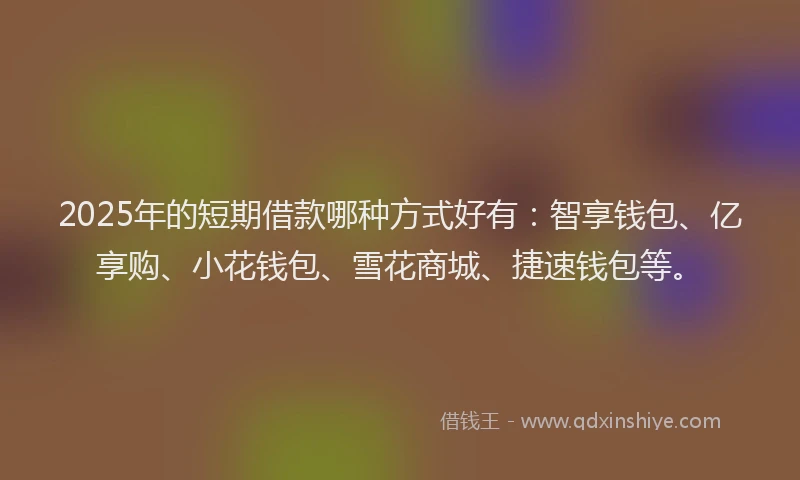 2025年的短期借款哪种方式好有：智享钱包、亿享购、小花钱包、雪花商城、捷速钱包等。