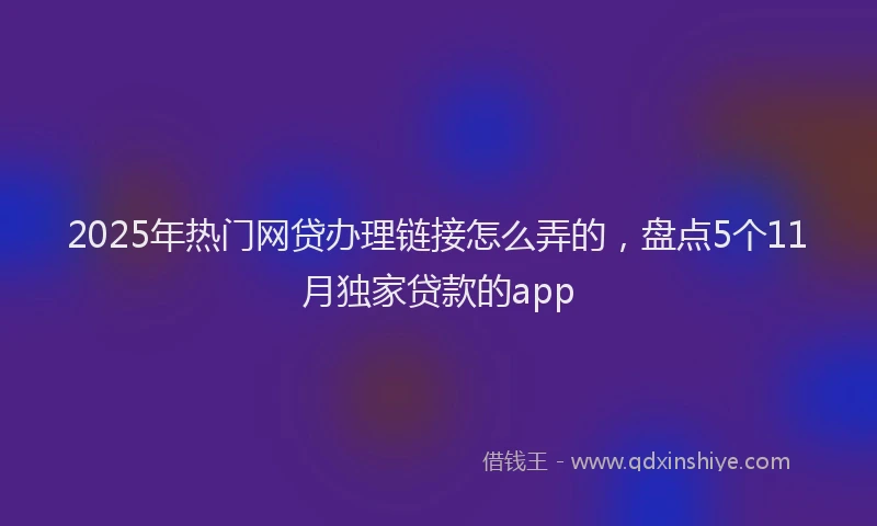 2025年热门网贷办理链接怎么弄的，盘点5个11月独家贷款的app