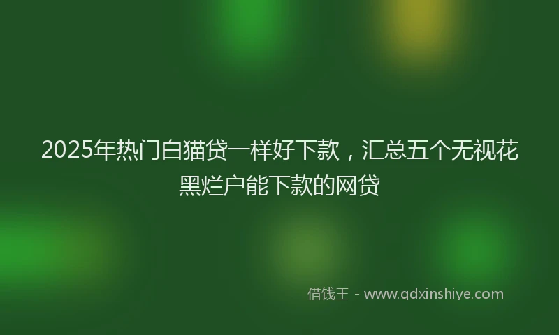 2025年热门白猫贷一样好下款，汇总五个无视花黑烂户能下款的网贷