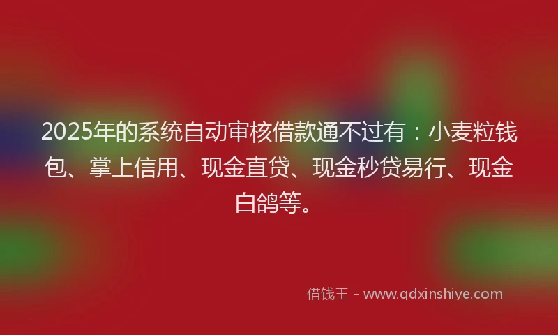 2025年的系统自动审核借款通不过有：小麦粒钱包、掌上信用、现金直贷、现金秒贷易行、现金白鸽等。