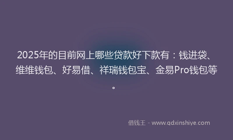 2025年的目前网上哪些贷款好下款有：钱进袋、维维钱包、好易借、祥瑞钱包宝、金易Pro钱包等。