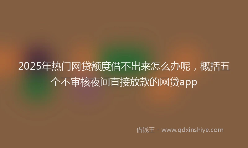 2025年热门网贷额度借不出来怎么办呢，概括五个不审核夜间直接放款的网贷app