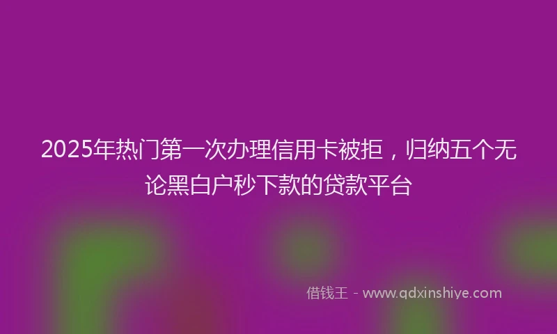 2025年热门第一次办理信用卡被拒，归纳五个无论黑白户秒下款的贷款平台