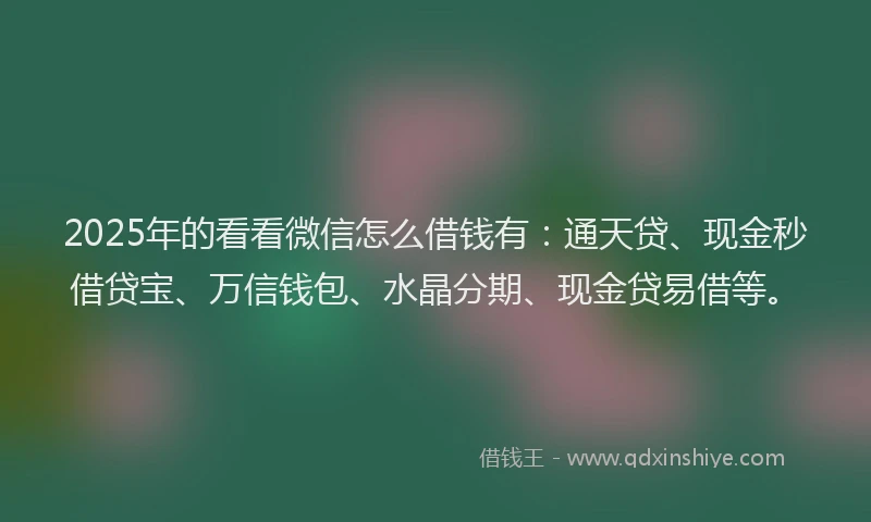 2025年的看看微信怎么借钱有：通天贷、现金秒借贷宝、万信钱包、水晶分期、现金贷易借等。