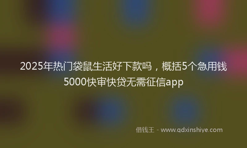 2025年热门袋鼠生活好下款吗，概括5个急用钱5000快审快贷无需征信app