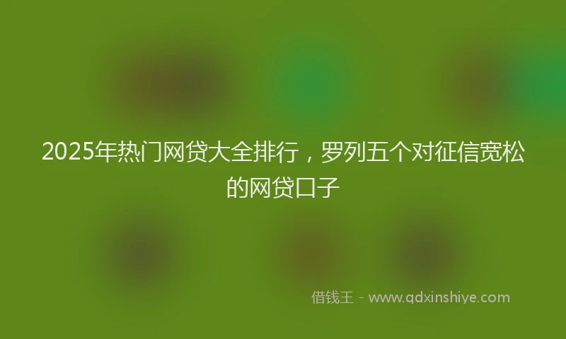 2025年热门网贷大全排行，罗列五个对征信宽松的网贷口子