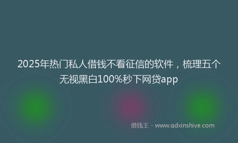 2025年热门私人借钱不看征信的软件，梳理五个无视黑白100%秒下网贷app