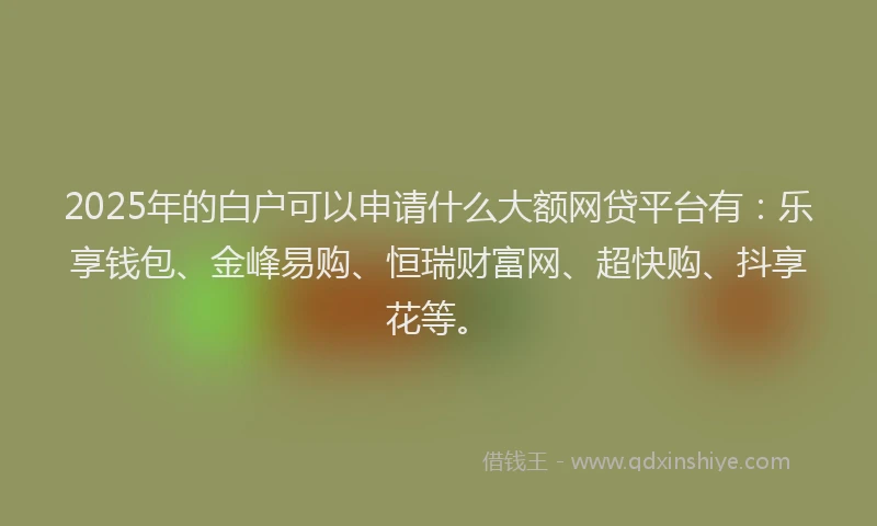 2025年的白户可以申请什么大额网贷平台有：乐享钱包、金峰易购、恒瑞财富网、超快购、抖享花等。