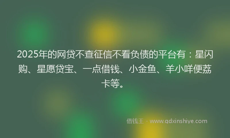 2025年的网贷不查征信不看负债的平台有：星闪购、星愿贷宝、一点借钱、小金鱼、羊小咩便荔卡等。