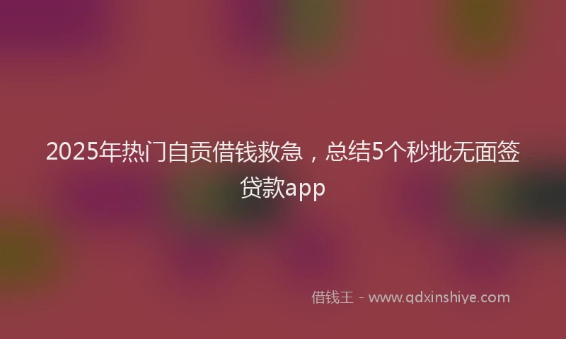 2025年热门自贡借钱救急，总结5个秒批无面签贷款app