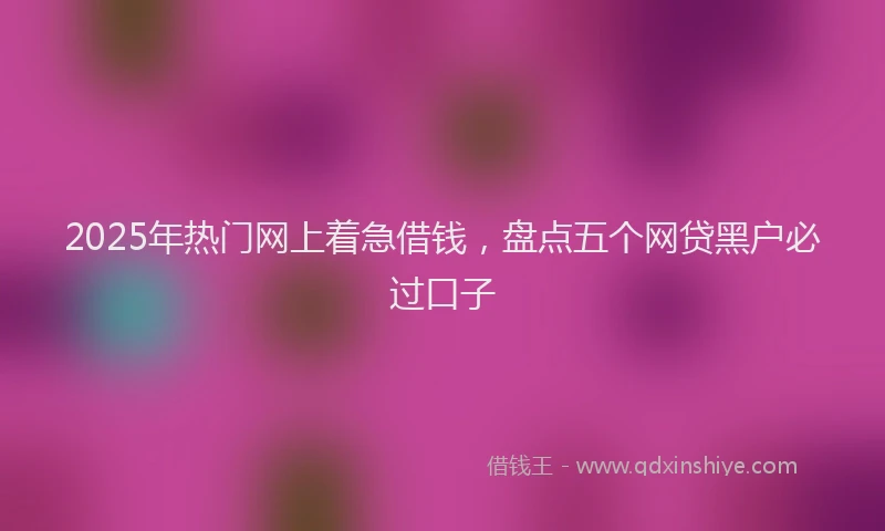 2025年热门网上着急借钱，盘点五个网贷黑户必过口子