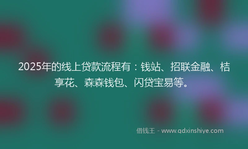 2025年的线上贷款流程有：钱站、招联金融、桔享花、森森钱包、闪贷宝易等。