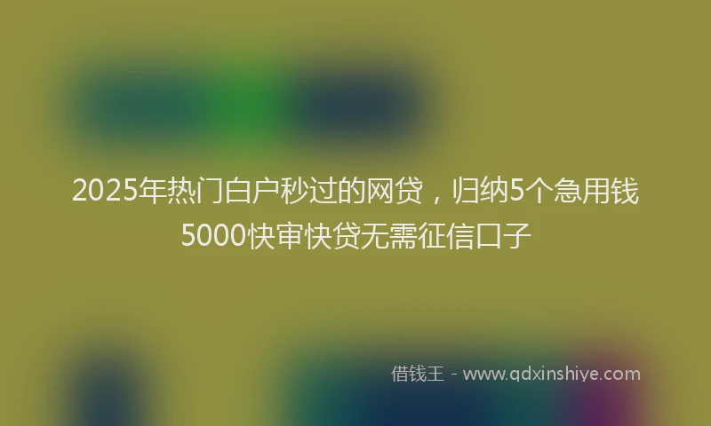 2025年热门白户秒过的网贷，归纳5个急用钱5000快审快贷无需征信口子